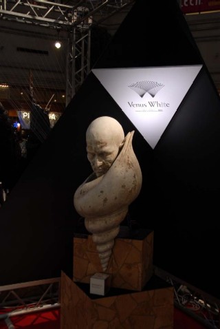 vw12.jpg