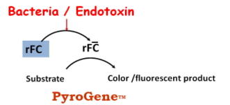 PyroGene