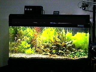 200105.jpg (17282 �o�C�g)