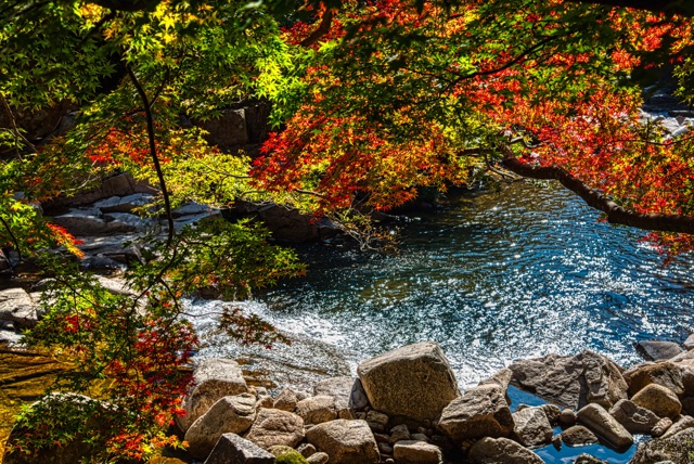 総社市豪渓の紅葉