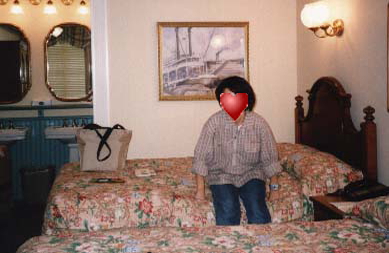 �z�e���̂�����