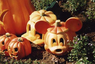 ���ڂ���̂�񂽂�