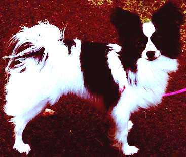 �����ł�