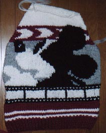 �J�E�`���S