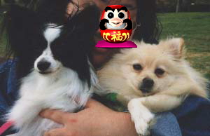 ���Ƃ����Ƃ܂�