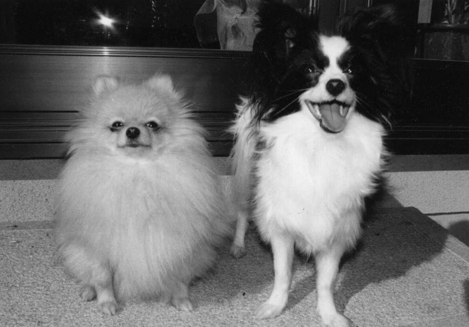 �����Ƃ���