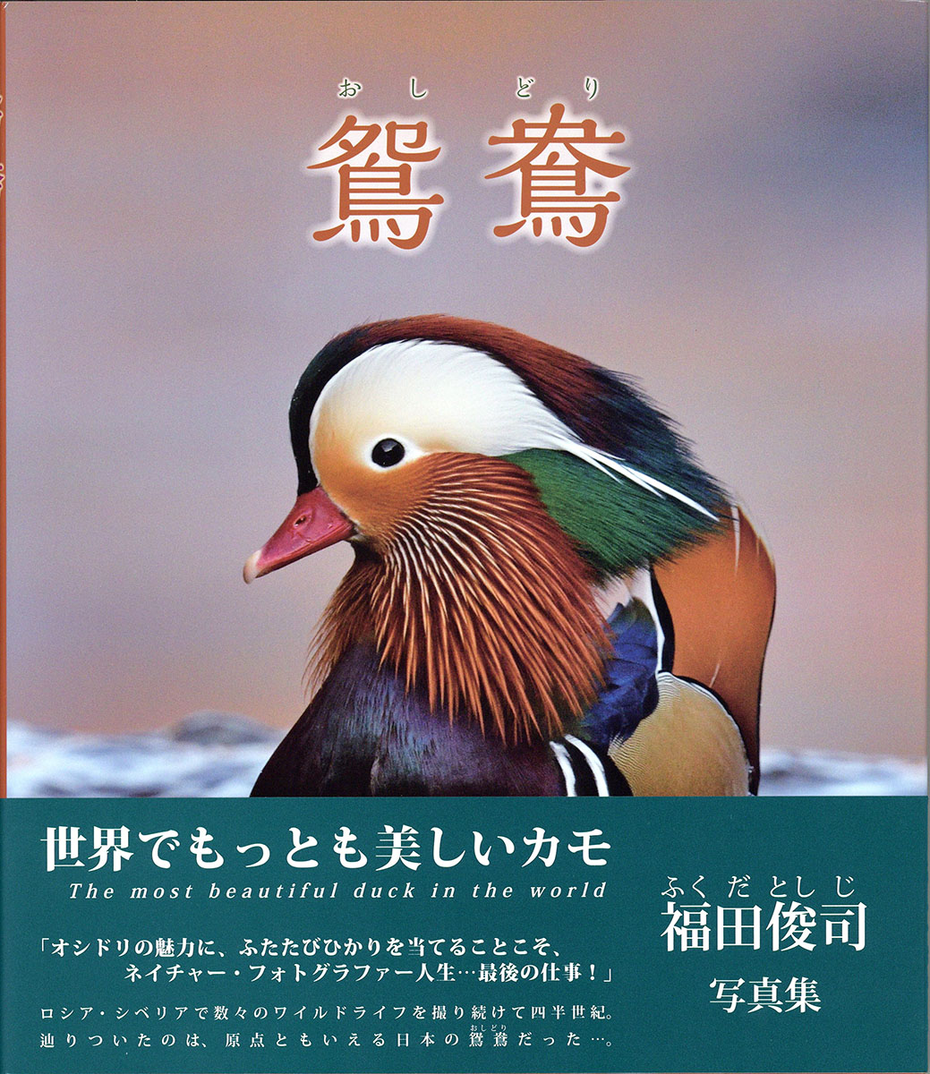 Book Mandarin DUCK