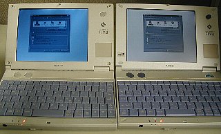実物はこんなに青くはないですが…(^^;