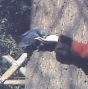 [�ʐ^�F�n�g]