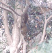 [�ʐ^�F�x����]