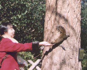 [�ʐ^�F�肩��a�P]