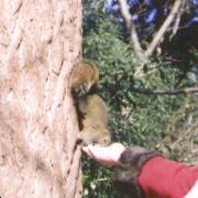 [�ʐ^�F�肩��a�Q]