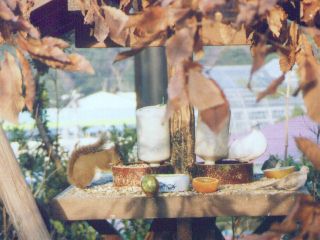 [�ʐ^�F�a��̃��X]