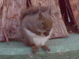 [�ʐ^�F���̑O]