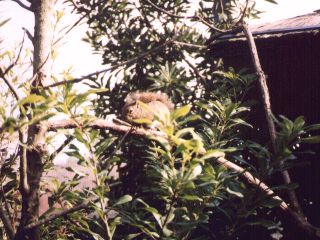 [�ʐ^�F�x����]