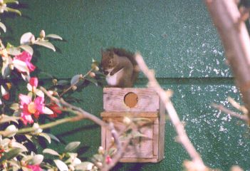 [�ʐ^�F�x�����Q]