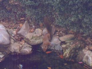 [�ʐ^�F��������]