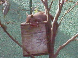 [�ʐ^�F�����Q��]