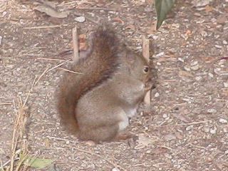 [�ʐ^�F�n�ʂ̏�]