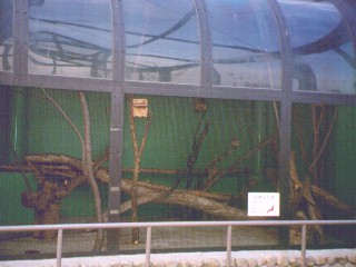 [�ʐ^�F�P�[�W]