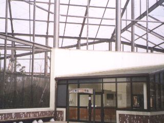 [�ʐ^�F�����]