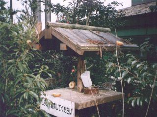 [�ʐ^�F���a��]