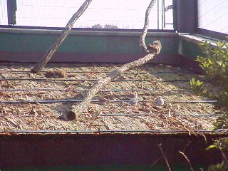 [�ʐ^�F�����̏�]