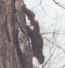 �����~��郊�X