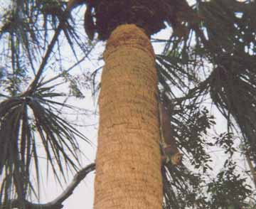 �M�ю����~��郊�X