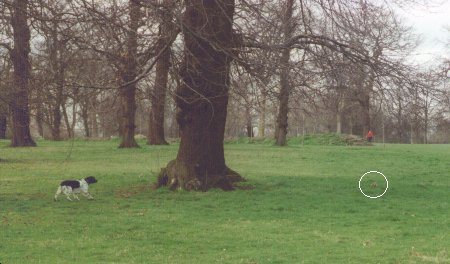 ���X����������