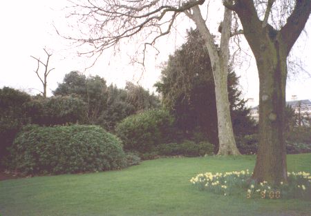 ��Ύ��̂����܂��Ă���Ƃ���