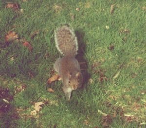 �����������������X