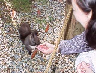 [�ʐ^�F�肩��a�����炤�G�]���X]