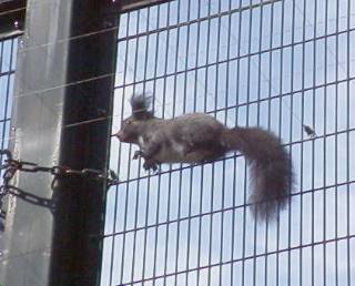 [�ʐ^�F���Ԃ̃G�]���X]