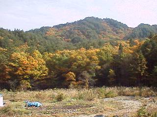 [�ʐ^�F���R�̐X]