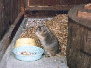 [�ʐ^�F�a��H�ׂ�v��]