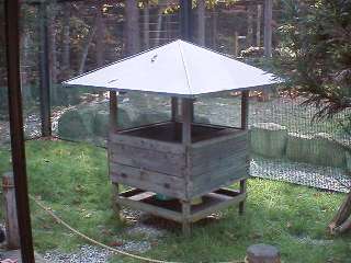 [�ʐ^�F���a����]