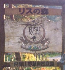 [�ʐ^�F�؂łł����傫�ȊŔ�]