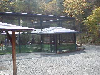 [�ʐ^�F���������{��]