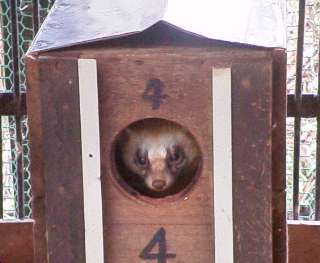 [�ʐ^�F�����������o���e��]