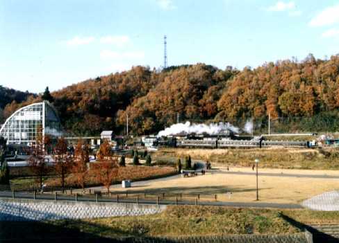 c1119_1.jpg