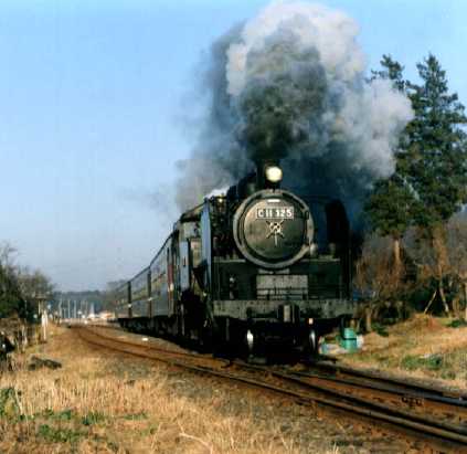 c1132517_1.jpg
