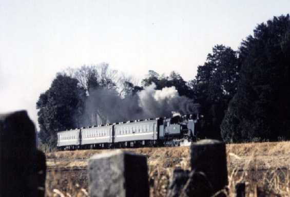 c1105.jpg