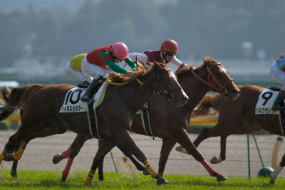残り100mで抜け出す２頭