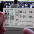 フェブラリーステークス2005馬券