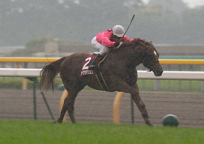 激しい雷雨の中、内から見事に抜けてきたアサクサデンエン