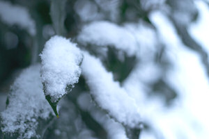 大雪注意報発表中