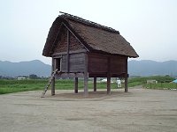 高床式倉庫。教科書に載ってるのとそっくり。