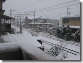 ���T����Ⴊ�~��܂���