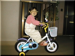 ���]�Ԃɏ����